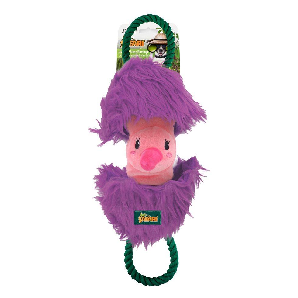 AFP Safari Deixe me em paz flamingo