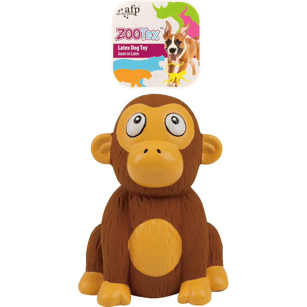 AFP ZooTex Christopher Chimp