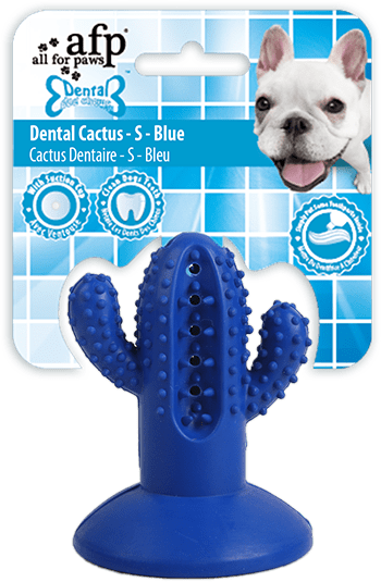 AFP Dental Mastigadores - Dental Cactus S Azul