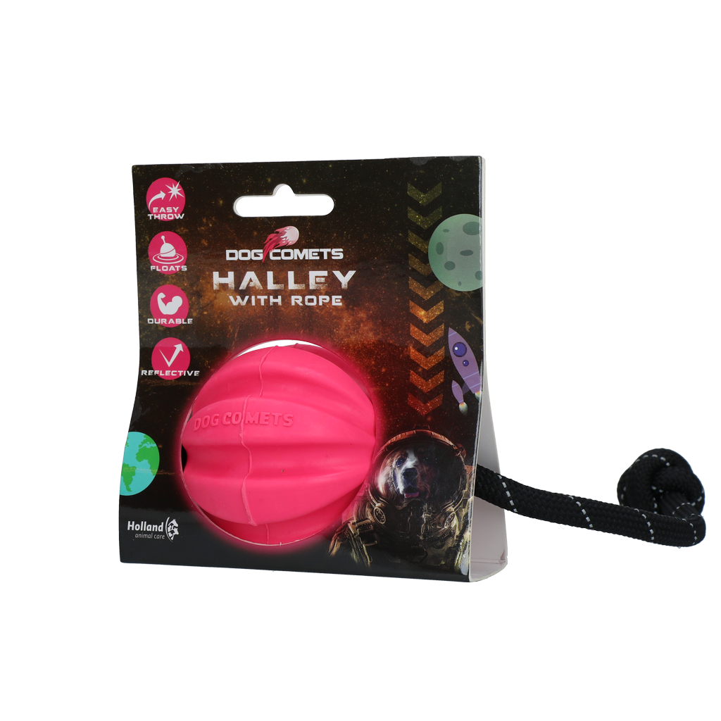 Cachorro Cometas Halley com Corda