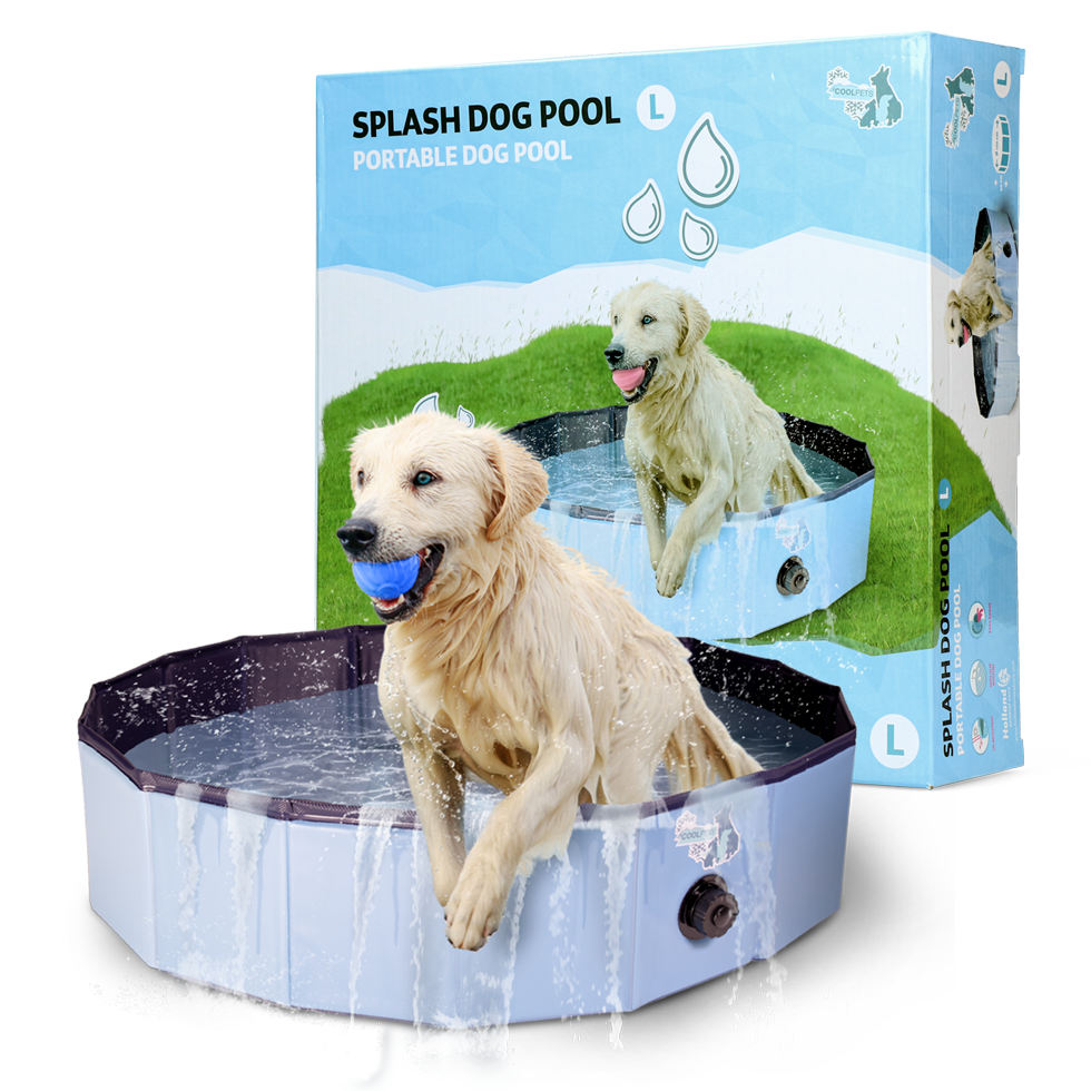 Piscina inflável CoolPets Splash para cães 120 x