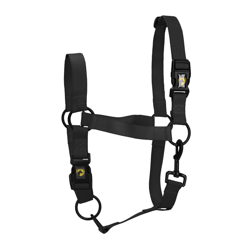 Excelente Halster Essencial Zwart S