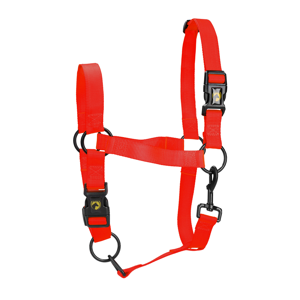 Excelente Halter Essencial