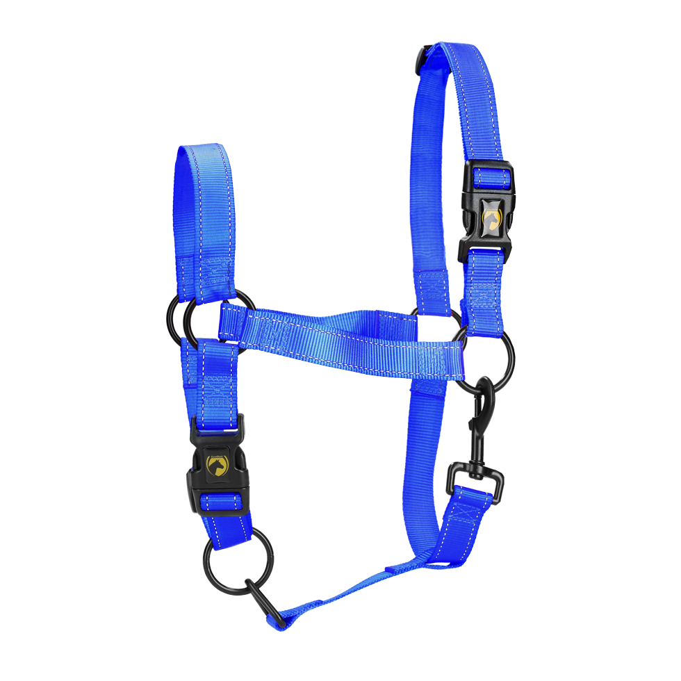 Excelente Halter Premium