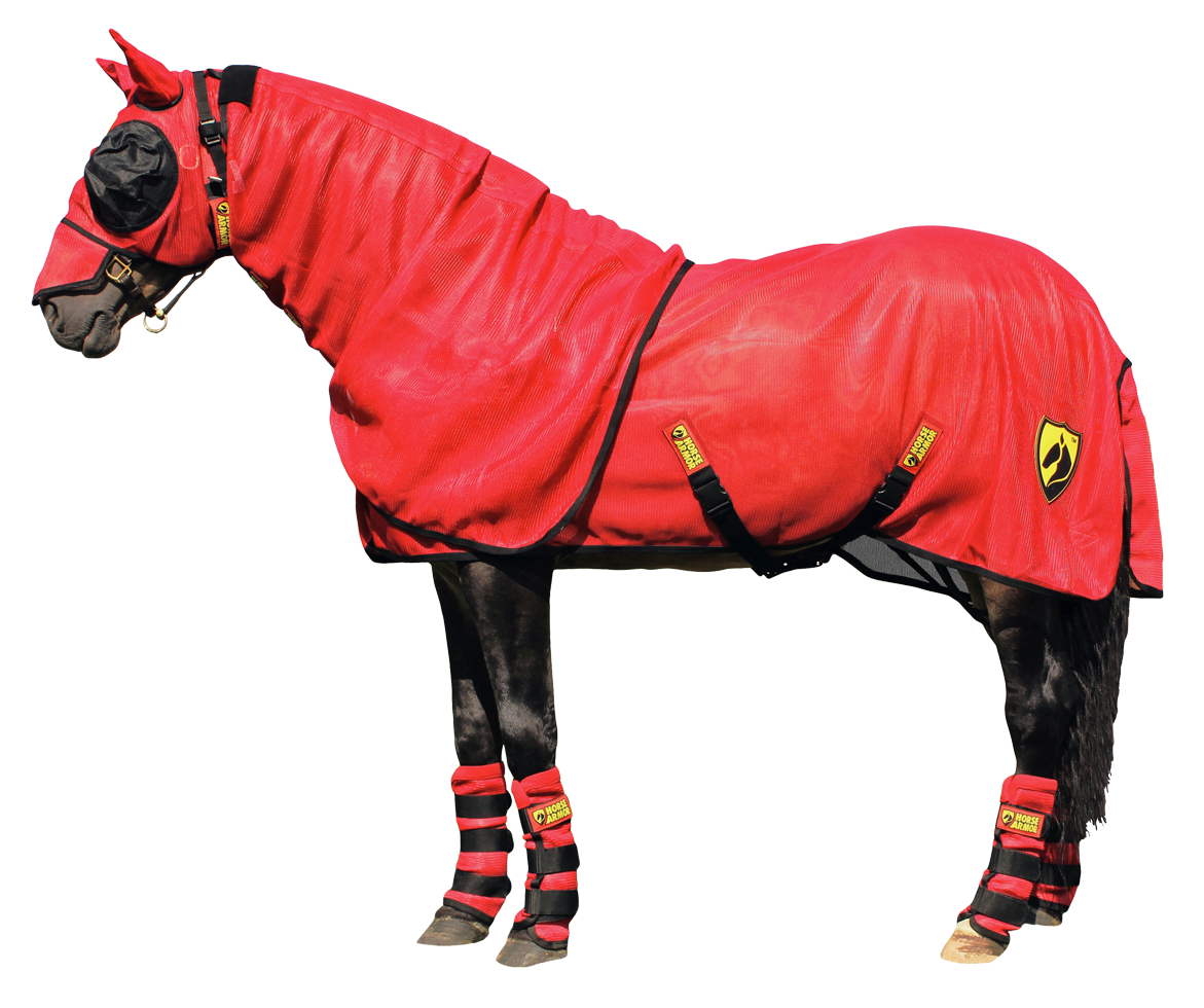 Armadura para Cavalo Capa de Mosca Desmontável