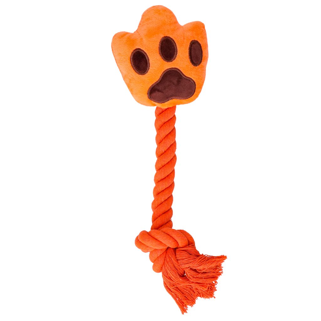 Laranja High Five