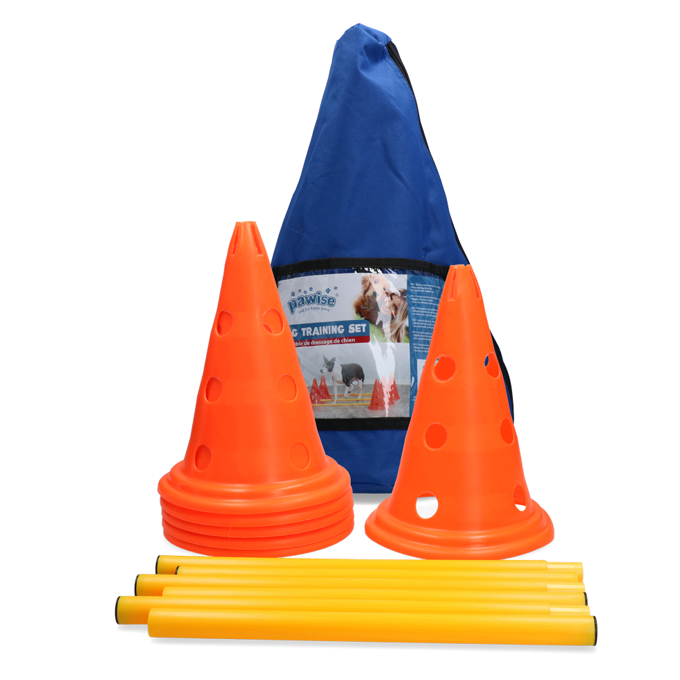 Conjunto de Treinamento de Agilidade Canina Paiwise