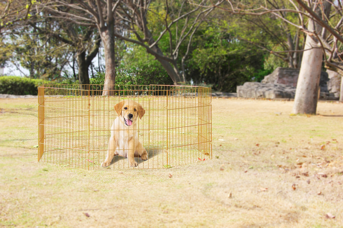 Parque para cães Paiwise