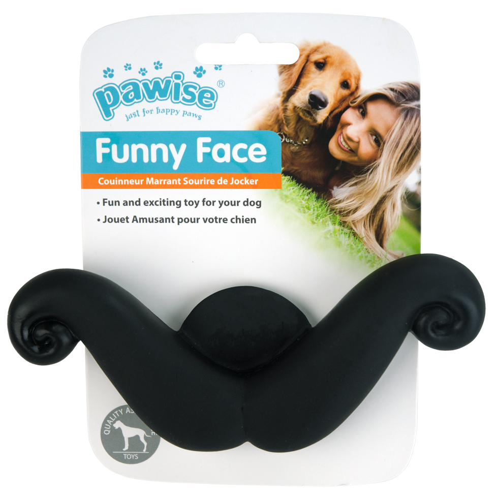 Bigode de Cara Engraçada Pawise