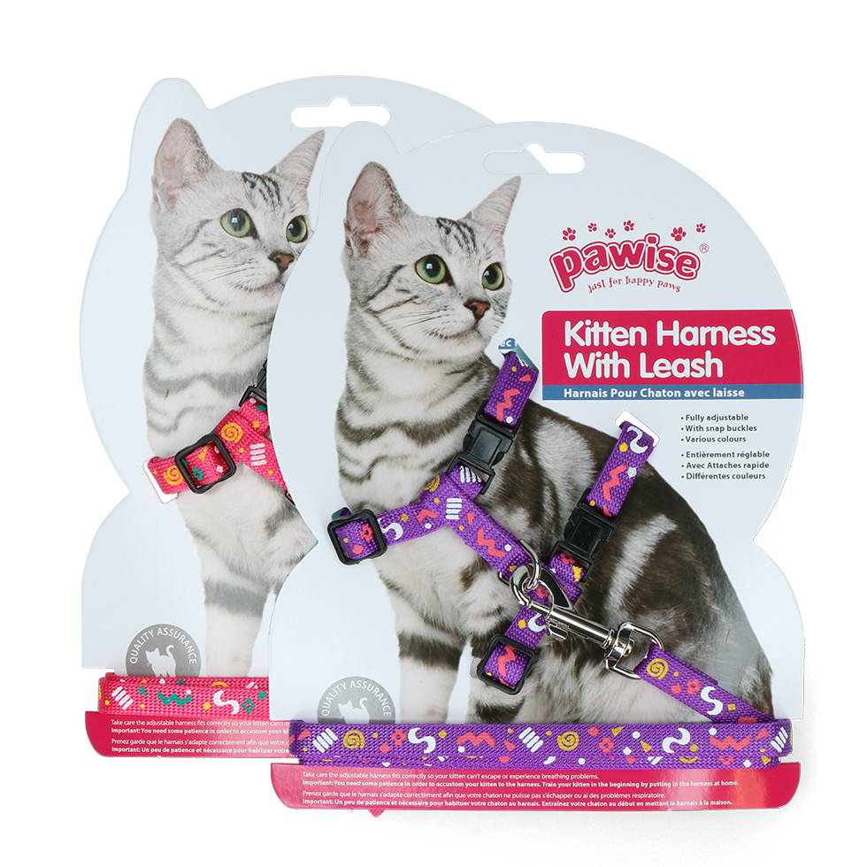 Coleira para gatinho Pawise com guia e roxa