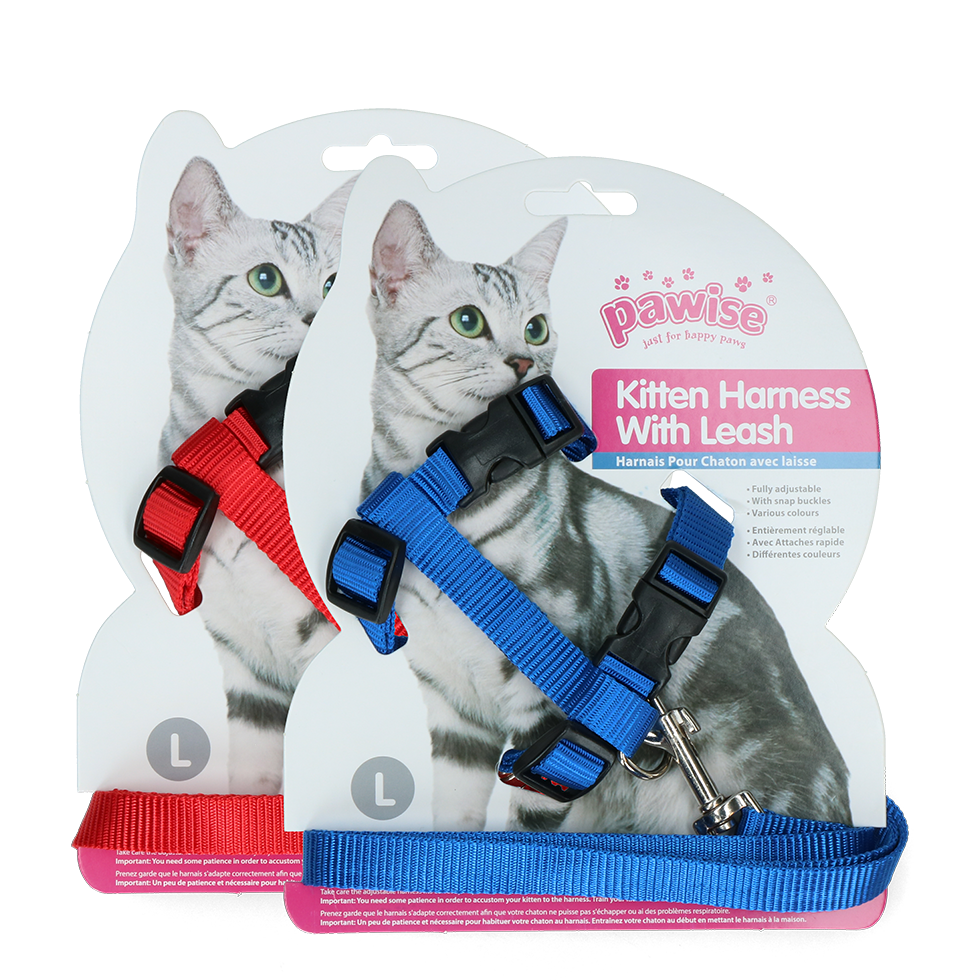 Coleira para gatinho Pawise com guia vermelha