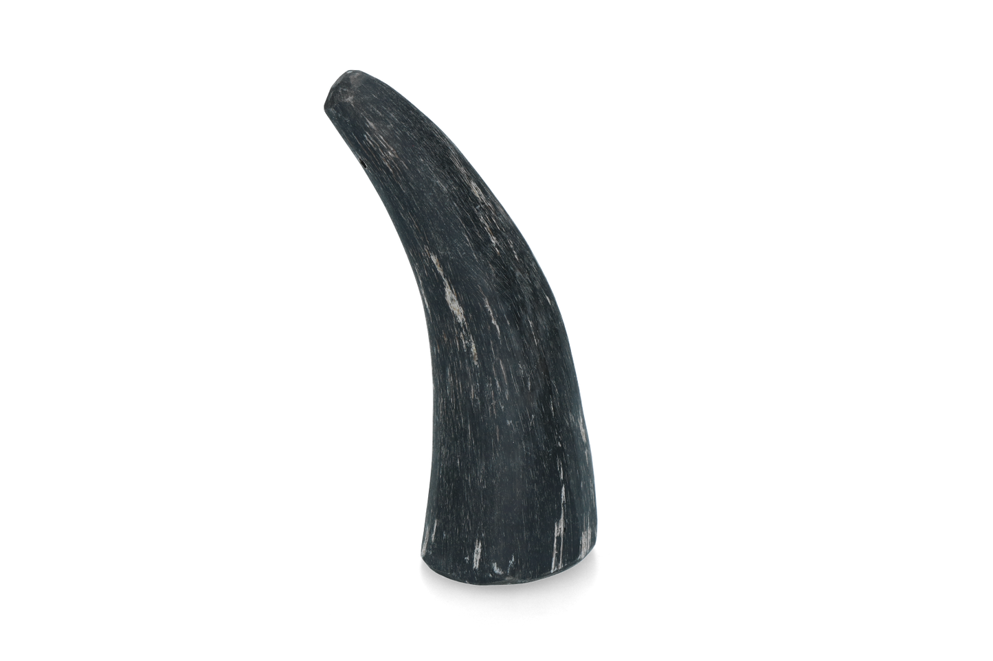 Chifre Viking Inteiro