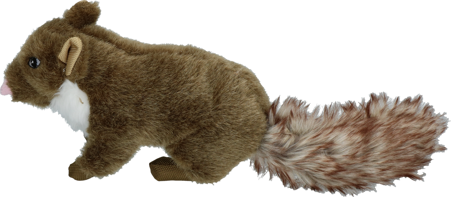 Cão da selvagem da vida selva