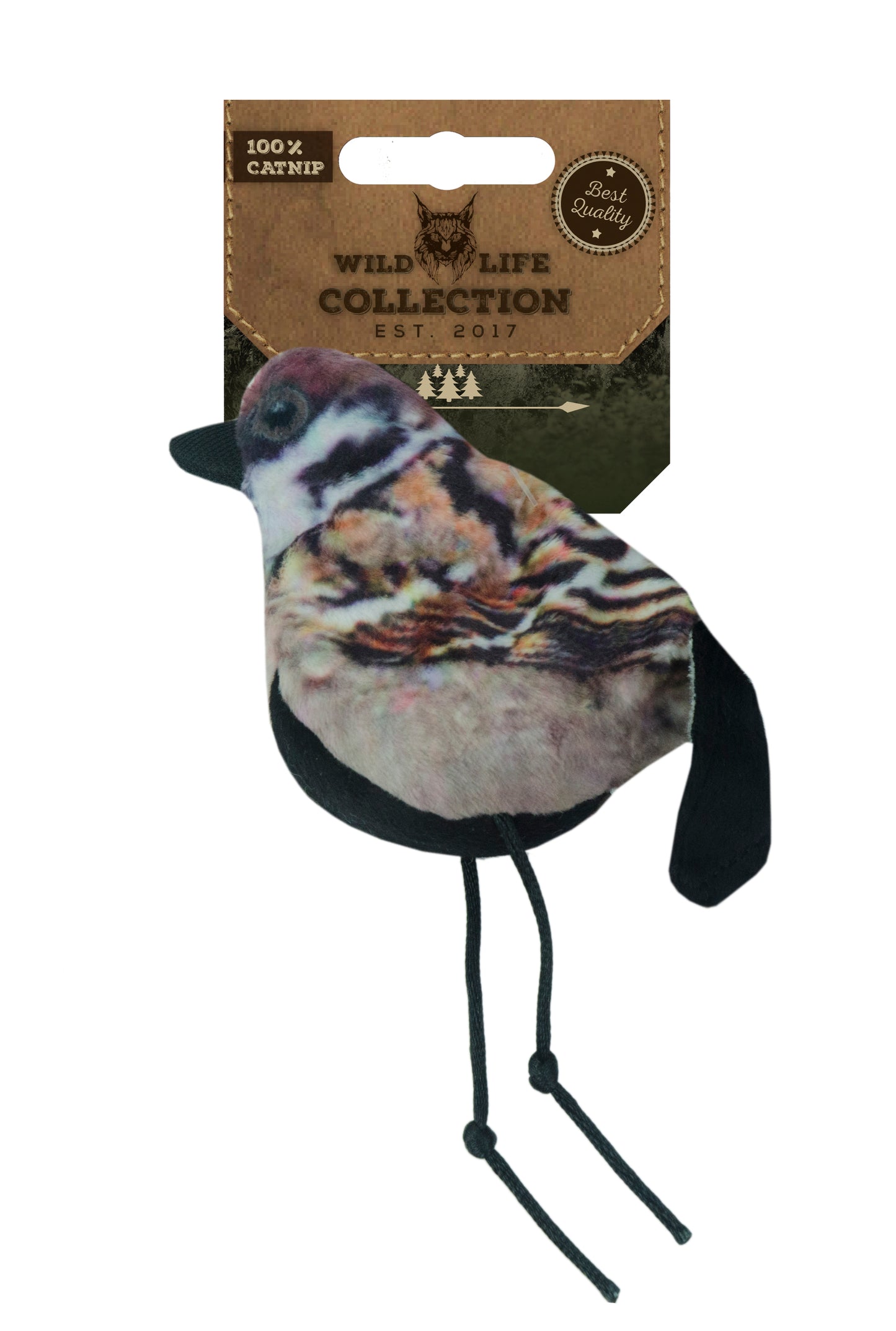 Gato da Vida Selvagem Rato