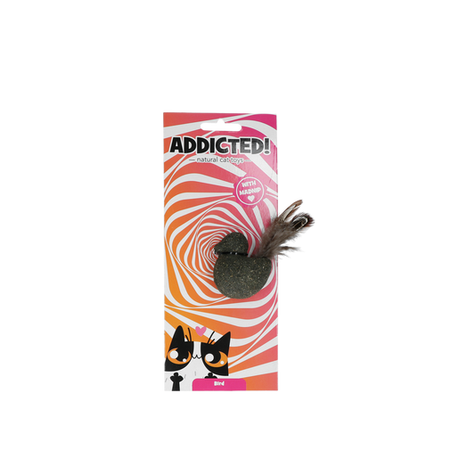 Pássaro viciado com penas