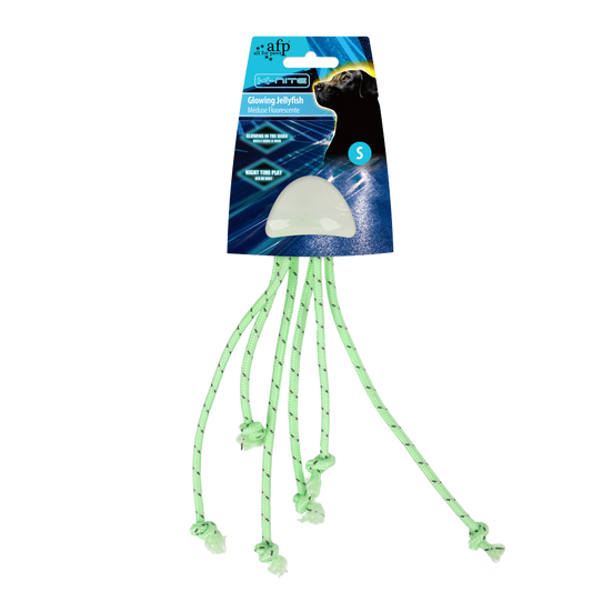 AFP K-Nite - Alforrecas Brilhantes S