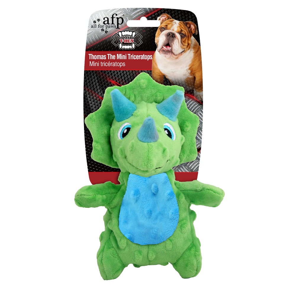 AFP Meu T Rex Thomas o Mini Triceratops