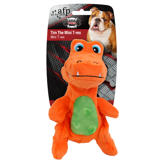 AFP Meu T Rex Tim o Mini T Rex