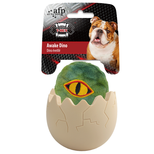 AFP Meu T Rex Acordado Dino