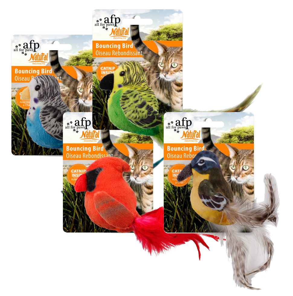 AFP Instintos Naturais - Pássaro Saltitante