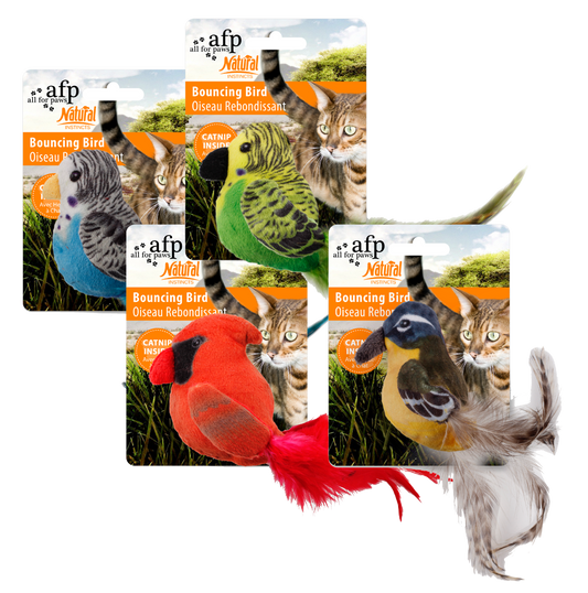 AFP Instintos Naturais - Pássaro Saltitante