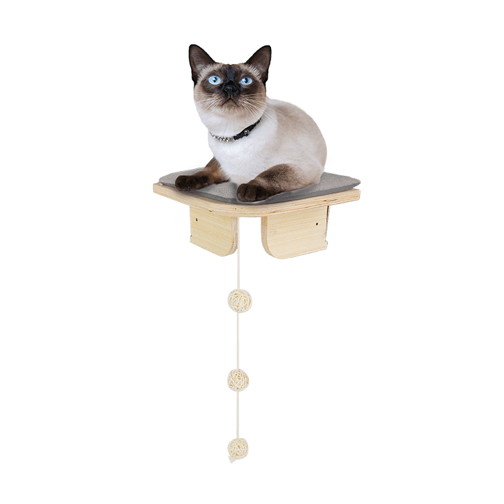 Passarela AFP - Plataforma de canto