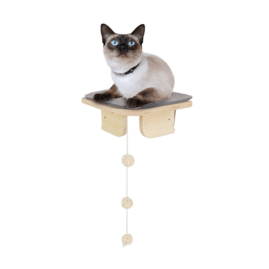 Passarela AFP - Plataforma de canto