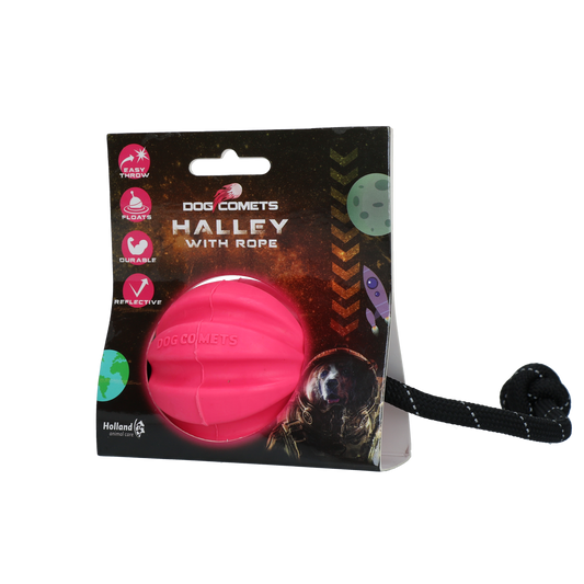 Cachorro Cometas Halley com Corda