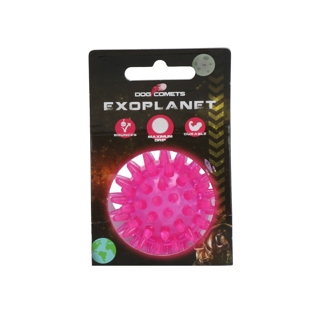 Cometas de cachorro Exoplaneta Ouriço