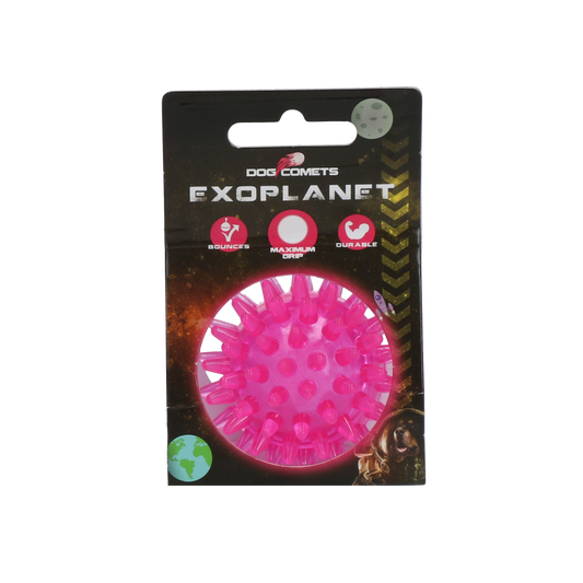 Bola Dog Comets Exoplanet Hedgehog Rosa