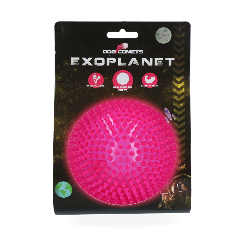 Bola Dog Comets Exoplanet Hedgehog Rosa