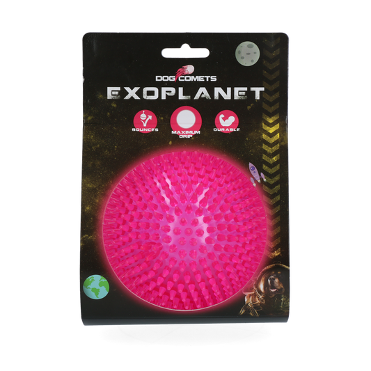 Bola Dog Comets Exoplanet Hedgehog Rosa