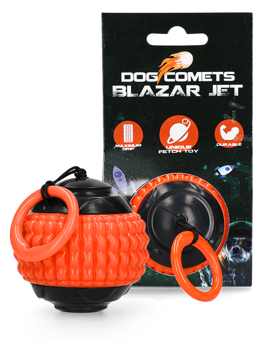 Dog Comets Blazar Jet