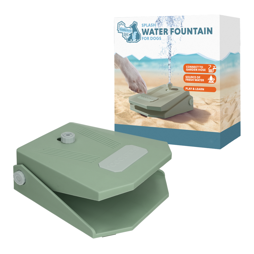 Fonte de água Coolpets Splash