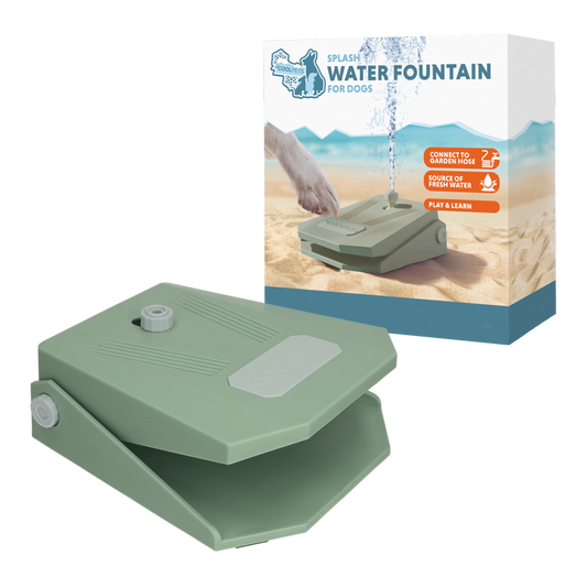 Fonte de água Coolpets Splash