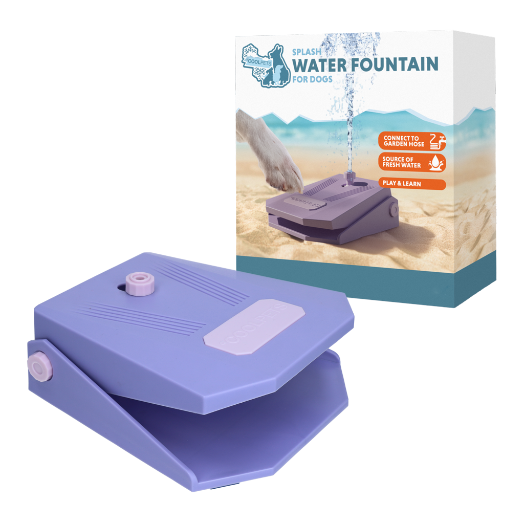 Fonte de água Coolpets Splash Lilás