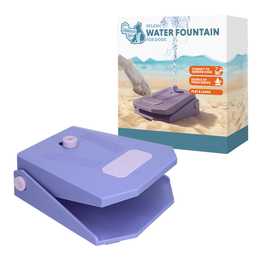 Fonte de água Coolpets Splash Lilás