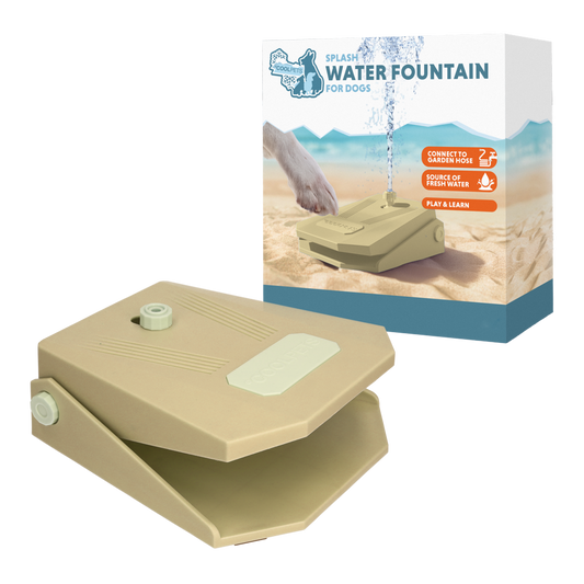 Fonte de água Coolpets Splash