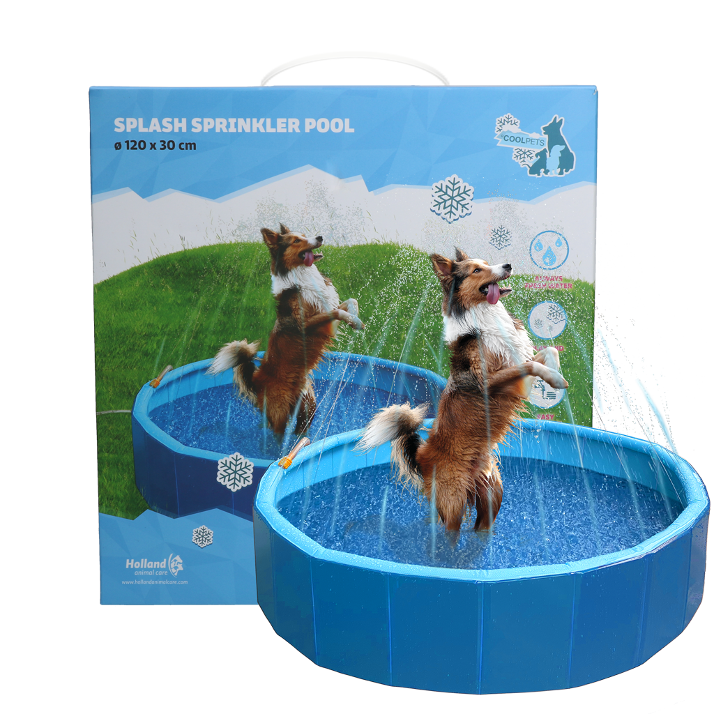 Piscina Coolpets Splash com Aspersor