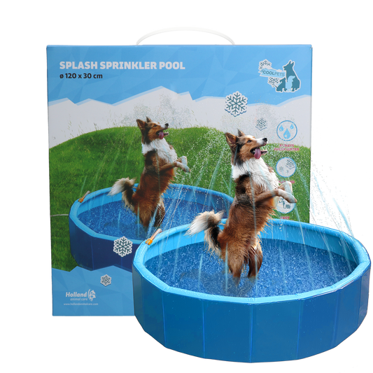 Piscina Coolpets Splash com Aspersor