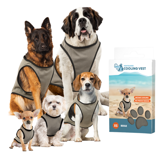Colete refrescante Coolpets XS costas