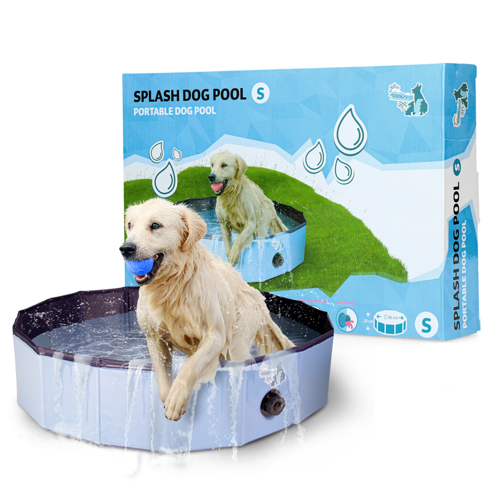 Piscina CoolPets Splash para Cães 80 x