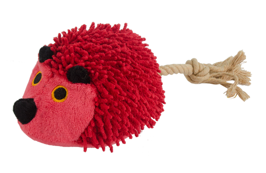 Ouriço peludo com cauda vermelha