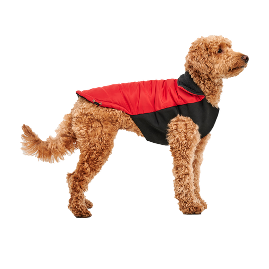 Jaqueta Goo eez Mock Neck Signature Wrap P Vermelha Preta