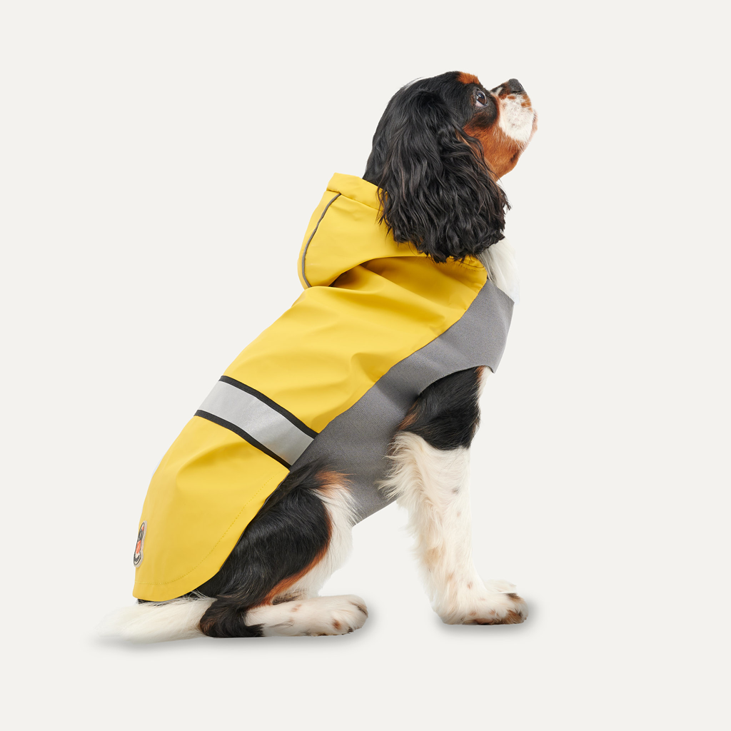 Capa de chuva com capuz refletivo Goo eez P amarelo cinza