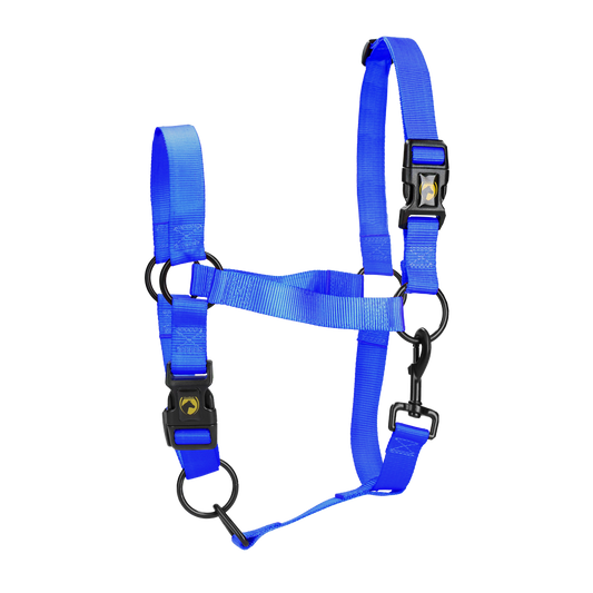 Excelente Halter Essencial
