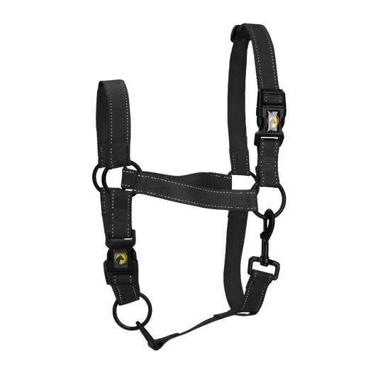 Excelente Halster Premium Zwart XS