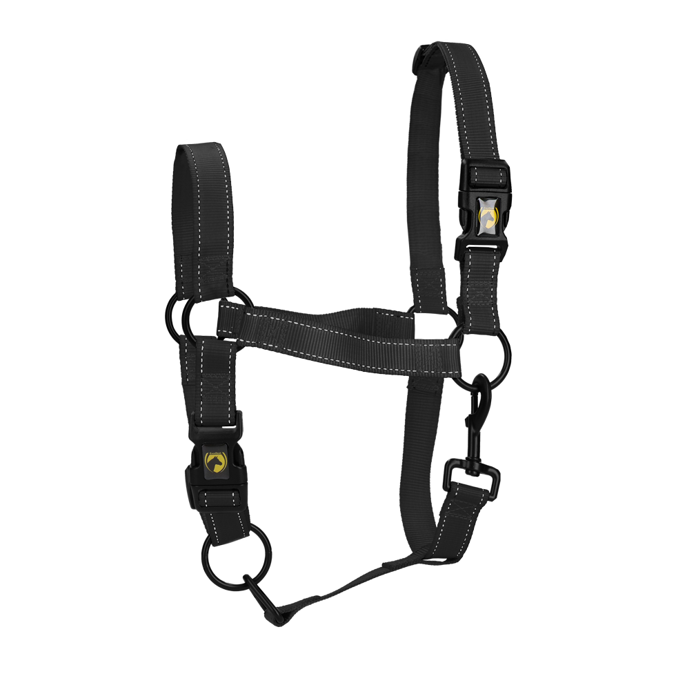 Excelente Halter Premium