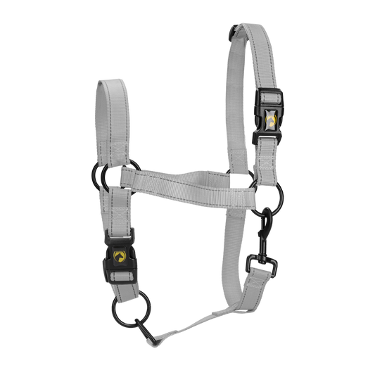 Excelente Halter Premium
