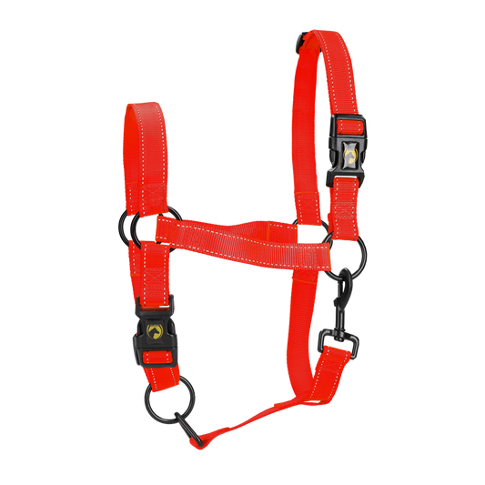 Excelente Halter Premium